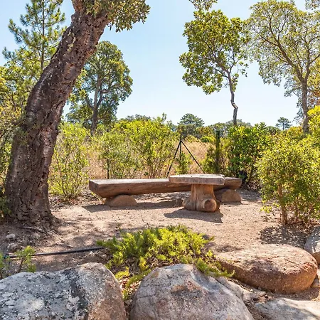 ヴィラ A Casedda Serena Di Lecci *